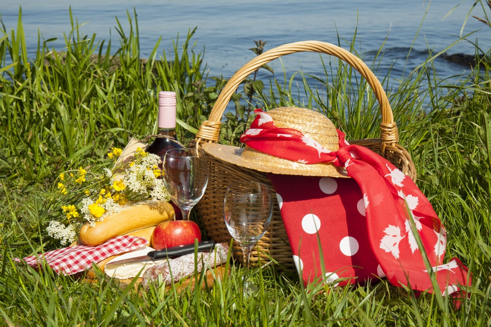 Picnic in Parque La Sabana Costa Rica