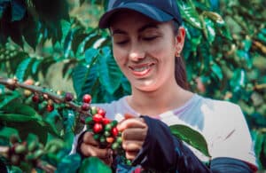 Coffee tour Costa Rica